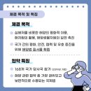 약속의 바다 이미지