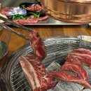 돈필농장 | 커피도 커피수혈이 필요해 .