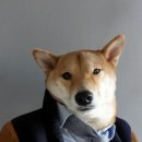 개간지