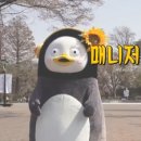 스테이대치