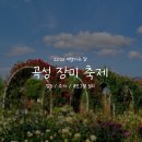 황금코다리곡성점 | [전남/곡성]5월엔 장미보러가요::2026 곡성 세계장미축제 (일정/입장료/주차)