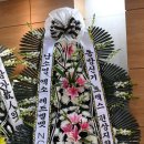 조화 이미지