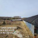 홍동농장 이미지