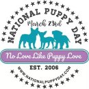 똑독트레이닝스쿨 이미지