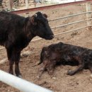 순창농장 이미지