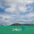 고매227