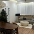 스테이 피치스 이미지