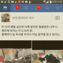 배부른돼지 이미지