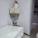 이뿌니헤어샵