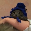 나나의 하루 이미지