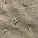 왕산해수욕장 - 공영주차장 이미지