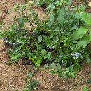 해준농장 이미지