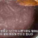 단팥죽 만들기 포옥 익도록 쉽게 팥삶는법 이미지