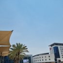 두바이 필수 코스 비치클럽 Zero Gravity Beach Club