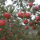 시민카센타 이미지