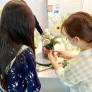 아그란스