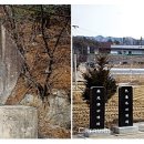 양달관광농원 이미지
