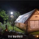 별숲 이미지
