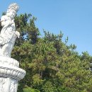 남해-274 이미지