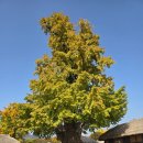 낙안농장 | 순천 아이와 갈만한곳: 낙안읍성 가족여행 후기