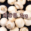 달싱상회