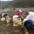 이대원농장 이미지