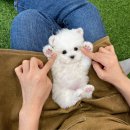 유앤미펫 강아지분양 고양이분양 일산점 이미지