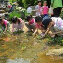 푸른자연유치원 이미지