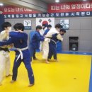 용인대덕양유도관 이미지