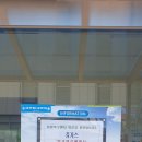 사파동172 이미지