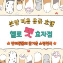 헬로펫 효자점 이미지