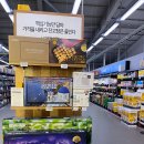 노브랜드 양주덕정점