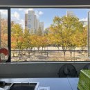 황금조개 튼튼장어 이미지