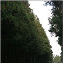 와흘본향당 이미지