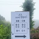 콩밭매는 강아지 이미지