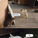 없음 이미지