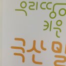 소로브레드 이미지