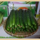 내아들농장 이미지