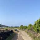 종달초등학교 | 구좌펜션 성산일출봉뷰 자쿠지 숙소 발리인제주 / 제주전통주 무료 시음