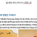 로스팅트리 이미지
