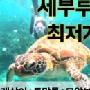 세부존투어자유여행