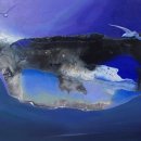 (성인)서양화 유화반 이미지