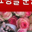 피어나라꽃 네이버블로그
