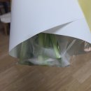 본비플레르 이미지
