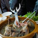 대성농장생오리 이미지