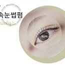 탐나는속눈썹 이미지