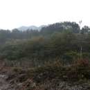 신선지맥(2구간) : 박달산-주월산-옥탑산-옥녀봉 구간