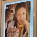 빛나상사 이미지