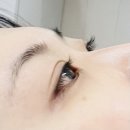 아린 아이래쉬 | 일산 가좌동속눈썹 아린아이래쉬 바짝속눈썹펌 전문