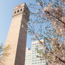 양산신-2009 이미지